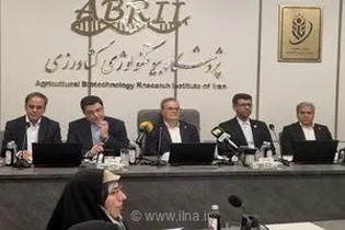 رئیس سازمان تحقیقات کشاورزی: امنیت غذایی، ستون اصلی امنیت ملی