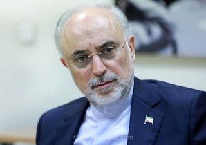 پیام تسلیت رئیس بنیاد ایران‌شناسی برای درگذشت روزنامه‌نگار پیشکسوت