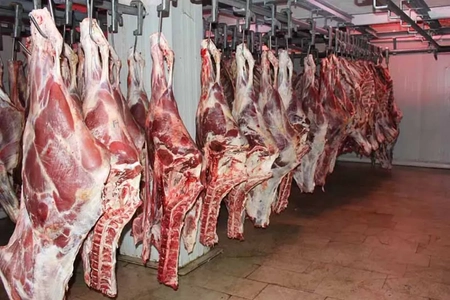 تغییر شرایط واردات گوشت؛ کاهش نیاز ایران به واردات گوشت قرمز محتمل است