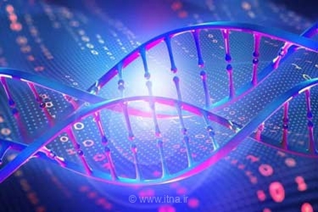 حافظه DNA با مصرف انرژی ۱۰۰ برابر کمتر توسط دانشمندان ساخته شد