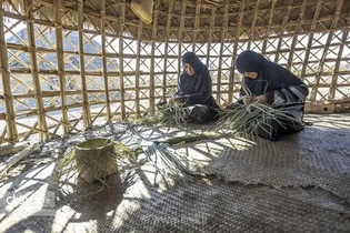 قلعه‌گنج، شهر ملی حصیربافی؛ فرصتی برای رونق اقتصادی و اشتغال