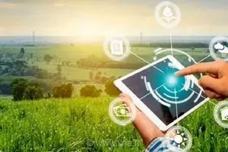 فعالیت ۳۷۷ هسته و واحد فناور در گلستان؛ هدف‌گذاری برای افزایش سهم دانش‌بنیان‌ها در اقتصاد استان