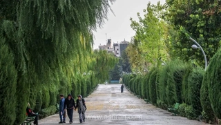 ادامه وزش باد و خیزش خاک در تهران تا پایان هفته
