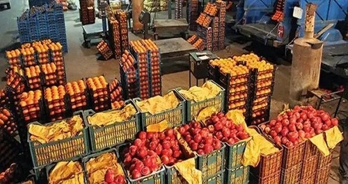 بازگشت حجره‌داران تره‌بار به کسب‌وکار اصلی