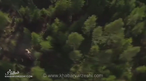 معجزه در رالی فنلاند؛ سباستین اوژیه، قهرمان جهان، از تصادف هولناک و مرگبار جان سالم به در برد