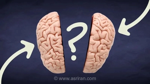 آیا مغز افراد منطقی با افراد احساسی متفاوت است؟ علم چه می‌گوید؟