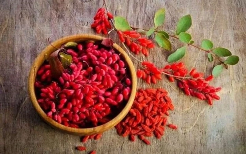 زرشک؛ دانه کوچک با خواص تغذیه‌ای چشمگیر