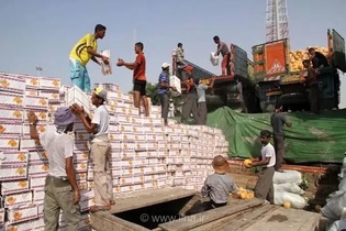 بیکاری ۲۰ هزار کارگر هرمزگانی؛ درخواست فوری برای صیانت از مشاغل