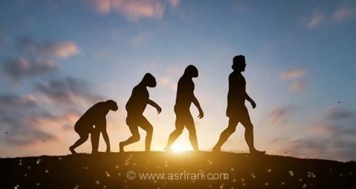 از ستون فقرات تا دندان عقل؛ چرا بدن انسان این‌همه نقص دارد؟