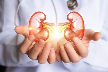 دفع سنگ کلیه با عرقیات: احتیاط و مشورت با پزشک ضروری است