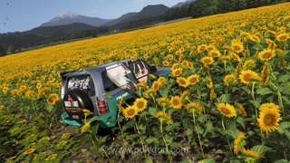 راهنمای پیدا کردن مزرعه آفتابگردان هوکوریو در بازی Forza Horizon 6 برای چالش عکاسی