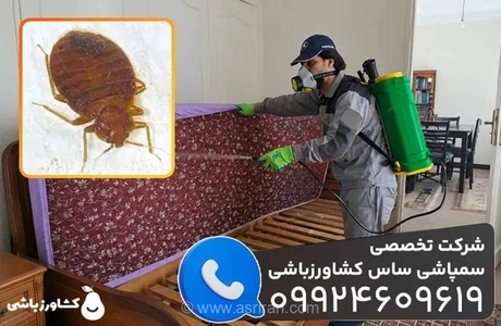 راهکارهای قطعی برای ریشه‌کنی ساس؛ معرفی بهترین شرکت سمپاشی با استفاده از سموم خارجی و ضمانت کتبی