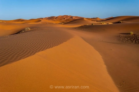 پهناورترین بیابان گرم جهان کجاست؟