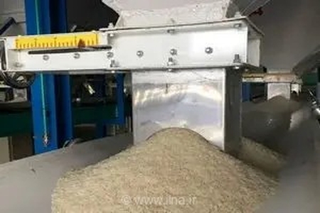 ۱۲ واحد شالیکوبی متخلف در قائم‌شهر به تعزیرات معرفی شدند