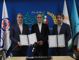 تفاهم‌نامه همکاری صندوق بیمه اجتماعی و شرکت سهامی فرش ایران امضا شد