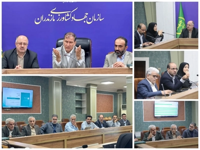 مازندران همچنان قطب تولید مرکبات و کیوی کشور/ تاکید بر ادامه صادرات