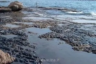 پایان عملیات پاکسازی آلودگی‌های نفتی در سواحل قشم؛ عدم مشاهده لاشه آبزیان در مناطق آلوده