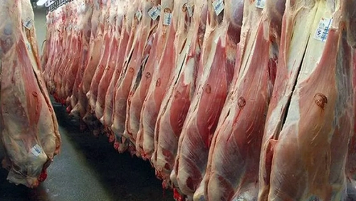 تکذیب مجوز گوشت اسب و الاغ؛ توضیحات سازمان دامپزشکی
