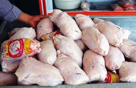 بحران مازاد تولید و زیان مرغداران؛ آیا صادرات مرغ از هفته آینده گره‌گشای بازار خواهد بود؟
