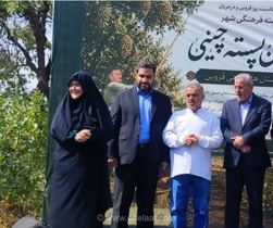 جشن برداشت پسته در قزوین با حضور مسئولان و گردشگران برگزار شد