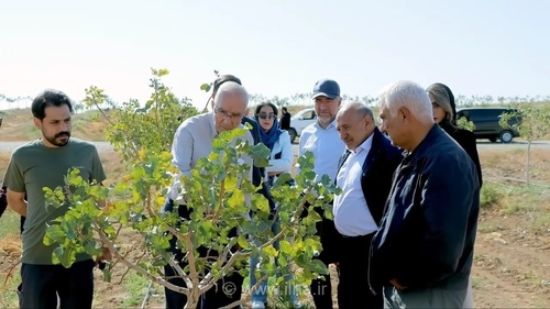 بازدید سرمایه‌گذاران داغستانی از ظرفیت‌های منطقه آزاد ماکو