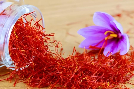 سفری ۴۰۰۰ ساله در تاریخ زعفران؛ از کلئوپاترا تا سفره ایرانی