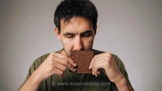 بوی شکلات به مردان کمک کرد تا تمرینات بیشتری انجام دهند و احساس خستگی کمتری کنند