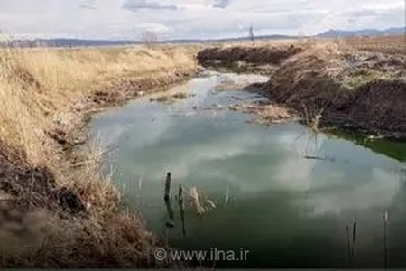 آلودگی رودخانه قره‌سو در روانسر و تلف شدن آبزیان