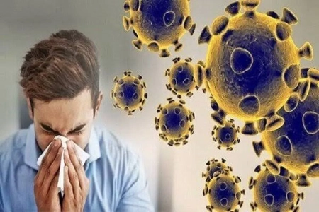 افزایش موارد آنفلوآنزا در مشهد و خراسان رضوی به مرز هشدار