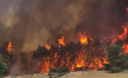 وحشت در جزیره کرت؛ تخلیه اضطراری صدها گردشگر در پی گسترش آتش‌سوزی‌های گسترده جنگلی در یونان