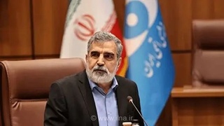 ایران: گزینه‌های دفاعی متعددی در اختیار داریم