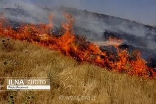 هشدار مدیریت بحران قزوین: بی‌احتیاطی شهروندان عامل اصلی افزایش نگران‌کننده آتش‌سوزی در مراتع و عرصه‌های طبیعی استان