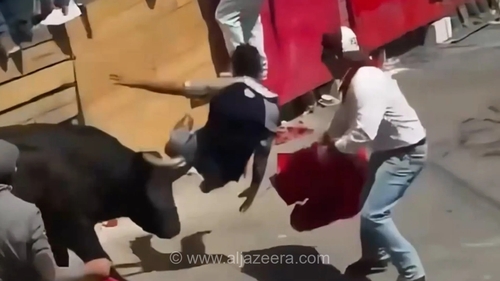 مرگ تراژیک مرد ۲۹ ساله در بزرگ‌ترین رویداد سالانه گاوبازی در مکزیک