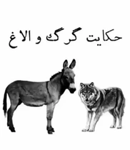 اختلاف بر سر رنگ ماست؛ داستانی آموزنده از لجاجت و قضاوت