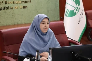اجرایی نشدن آیین‌نامه کاهش مصرف کیسه‌های پلاستیکی پس از چهار سال