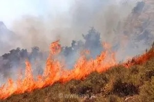 وقوع حادثه آتش‌سوزی در مراتع و پوشش گیاهی ارتفاعات هزارمسجد خراسان رضوی