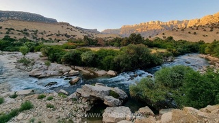 سوسن سرخاب، نگینی پنهان در قلب بختیاری خوزستان
