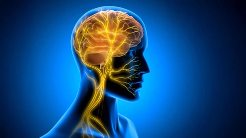 تحریک عصب واگ می‌تواند به تثبیت مهارت‌های جدید کمک کند
