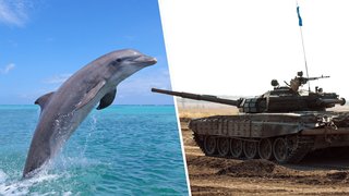 بهترین یگان‌های بازی‌های استراتژیک بی‌درنگ تاریخ توسط رای‌گیری انتخاب شدند