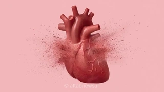 عادت‌های روزانه برای قلب سالم‌تر؛ راهکارهایی از نگاه کارشناسان