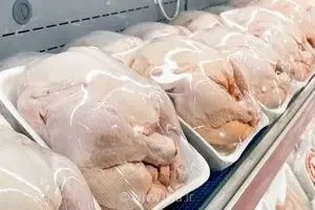 ذخیره‌سازی ۲۶۱۶ تن گوشت مرغ در فارس