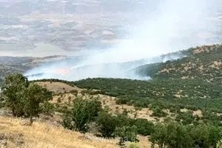 آتش کوهمره سرخی مهار شد/ باد همچنان تهدیدی جدی است