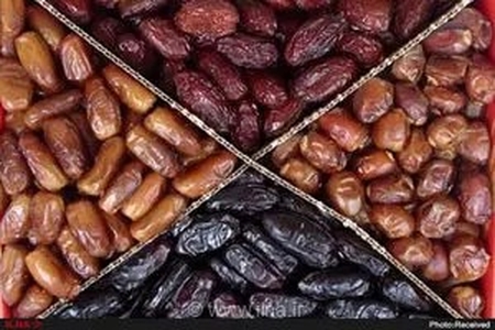 رفع محدودیت صادرات خرما، ماهی و گوجه‌فرنگی؛ پیگیری مجوز صادرات ۳۰۰ هزار تن ذرت مازاد خوزستان