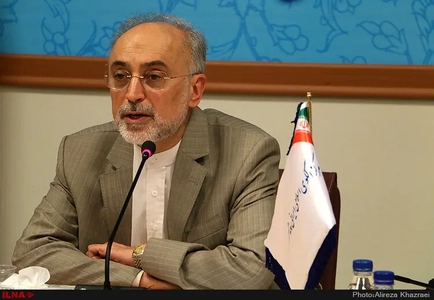 صالحی: بی‌احترامی به نمادهای ملی کشورها خردمندانه نیست