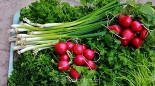 ترفندهای طلایی برای تازه نگه داشتن سبزی خوردن تا دو هفته؛ با پلاسیدگی سبزی‌ها برای همیشه خداحافظی کنید