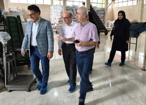 استانداردسازی چای گیلان؛ گامی برای ارتقای کیفیت و افزایش اعتماد مصرف‌کنندگان