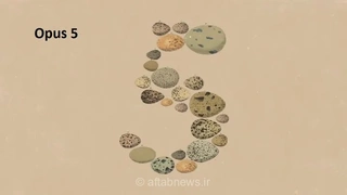 رونمایی از مدل هوش مصنوعی «اپوس ۵»؛ رقیبی قدرتمند با هزینه کمتر و محدودیت‌های ناچیز برای کاربران