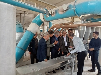 بررسی استانداردهای آرد کامل گندم در کارخانه آرد سامیان اردبیل