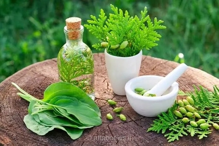 طب ایرانی دوباره در مسیر توجه مردم برای زندگی سالم‌تر
