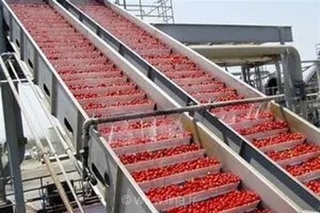 تحول در صنایع تبدیلی فارس با سرمایه‌گذاری ۹ هزار میلیاردی و ایجاد صدها فرصت شغلی جدید